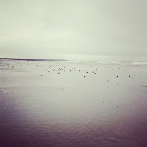 ocean